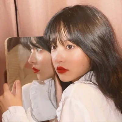 狮子护卫队第一季